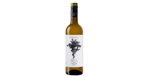 [W036] Gea Verdejo